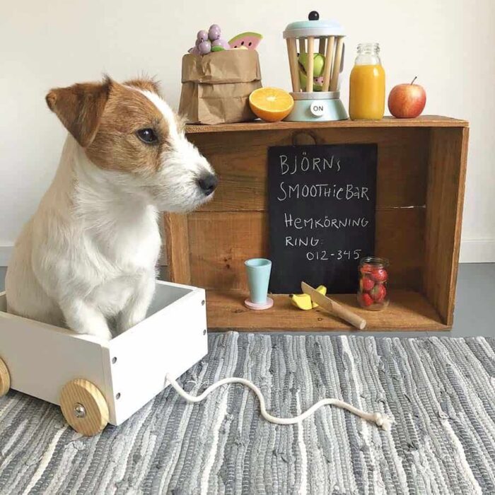 Kleine Spielzeugkiste mit Rädern – Bild 2