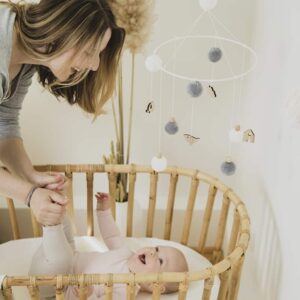 Mobile "Pom-Poms"