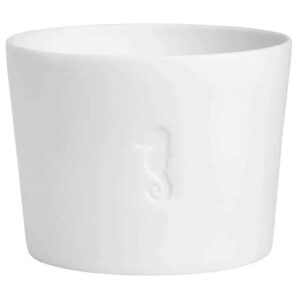 Meerlicht "Seepferdchen"