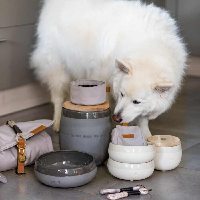 Hundemarke "Hohes Tier" – Bild 2