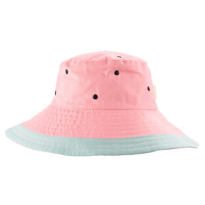 Sonnenhut "Wassermelone" – Bild 2