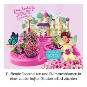 Experimentier Kasten "Feen-Garten" – Bild 4