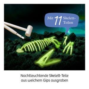 Experimentier Kasten "Nachtleuchtender Flugsaurier" – Bild 3