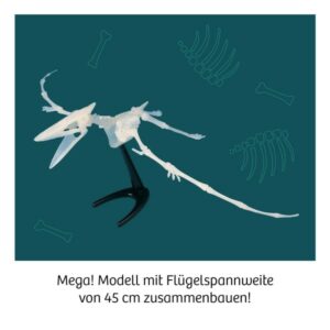 Experimentier Kasten "Nachtleuchtender Flugsaurier" – Bild 4