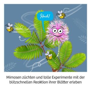 Experimentier Kasten "Mimosen-Garten" – Bild 4