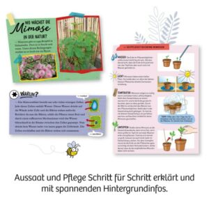 Experimentier Kasten "Mimosen-Garten" – Bild 6