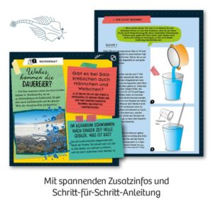 Experimentier Kasten "Urzeit-Krebse" – Bild 4