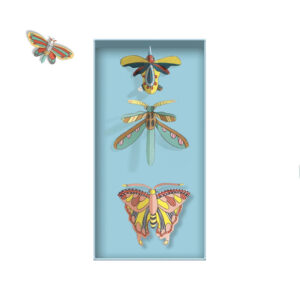 Färbe-Aktivität "Kabinett der Kuriositäten" – Bild 3