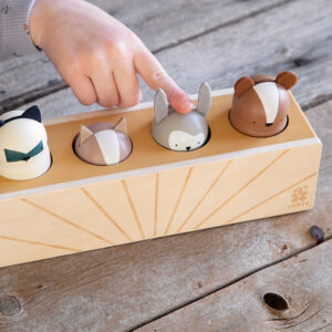 Pop-up Spielzeug "Woodland"
