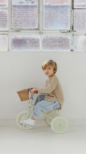 Vintage Trike Dreirad von Banwood (pale mint) – Bild 8