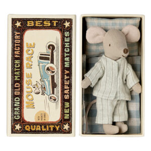 Großer Bruder Maus in der Streichholz Schachtel