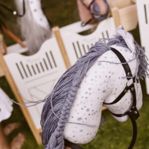 Hobby Horse Star (gräulich) – Bild 5