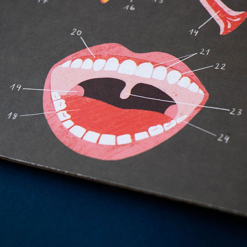 Inside Me 5 Lernspiel "In mir" – Bild 14