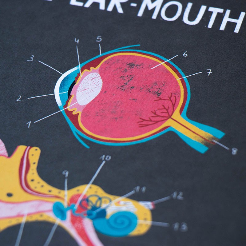 Inside Me 6 Lernspiel "In mir" – Bild 13