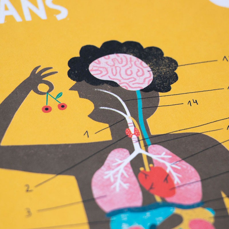 Inside Me Lernspiel "In mir" – Bild 3