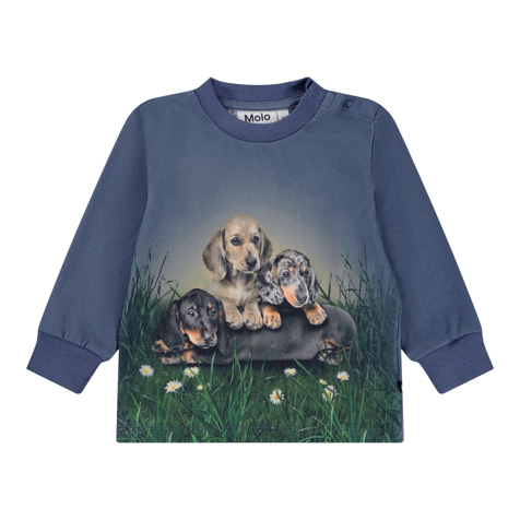 6W25A404_9679_small T-Shirt Long Sleeves Eloy (Dachshund Cubs) – Bild 1