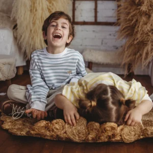 Weiches Streifen Sweatshirt mit Stickerei "Möwe" (hell grau)