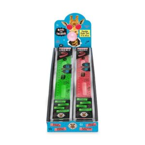 AFDS NE Flexi-Lineal-Set (15 cm und 30 cm) – Bild 2