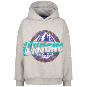 Hoodie Noldi, Fearless grey melee von Vingino