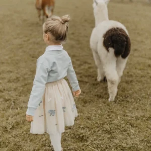 Tüllrock "Birds & Hearts" mit Stickerei – Bild 5