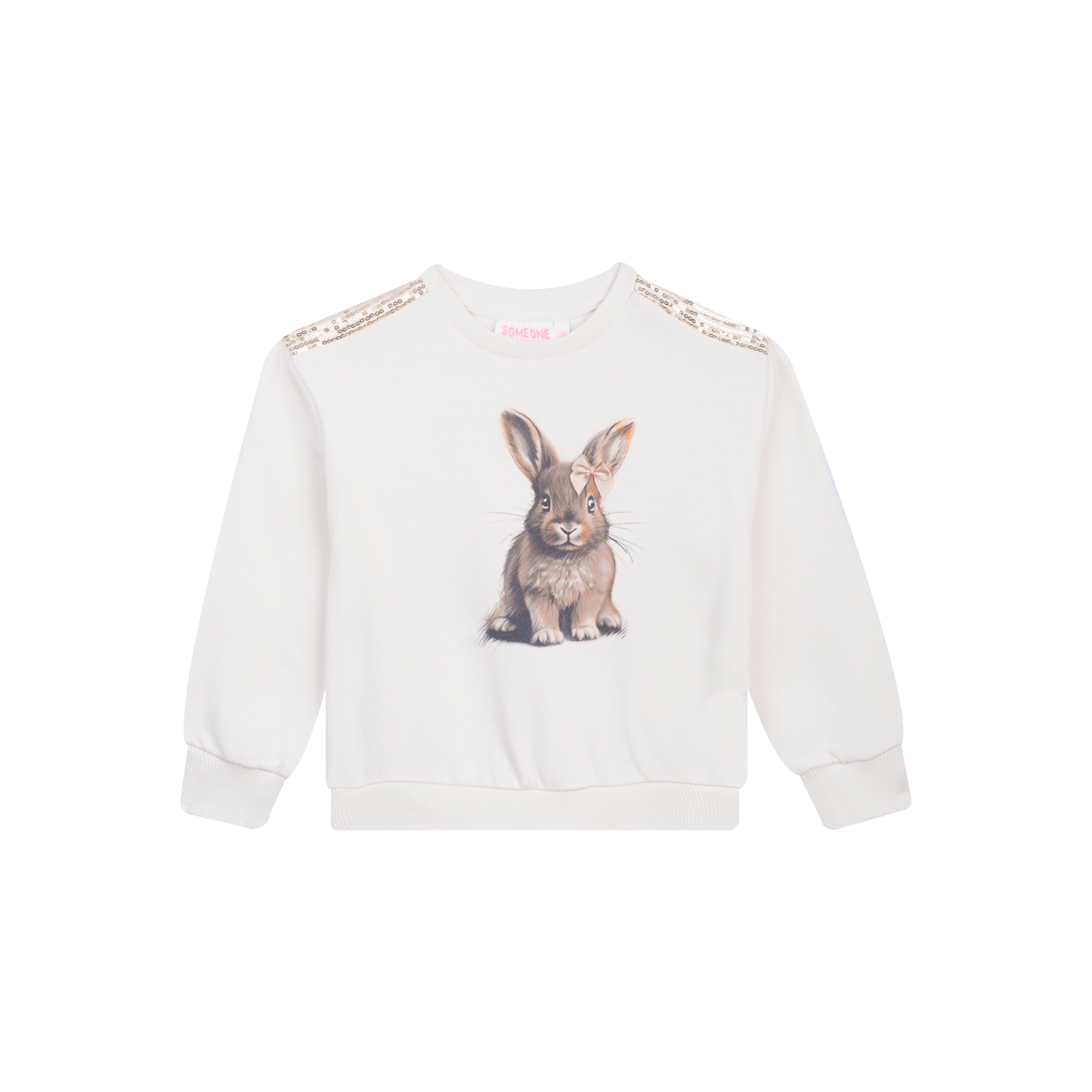 SG16.252.58528-DRE-6-144 Sweater Long Sleeves DEERY-SG-16-D (Dark Ecru) – Bild 1