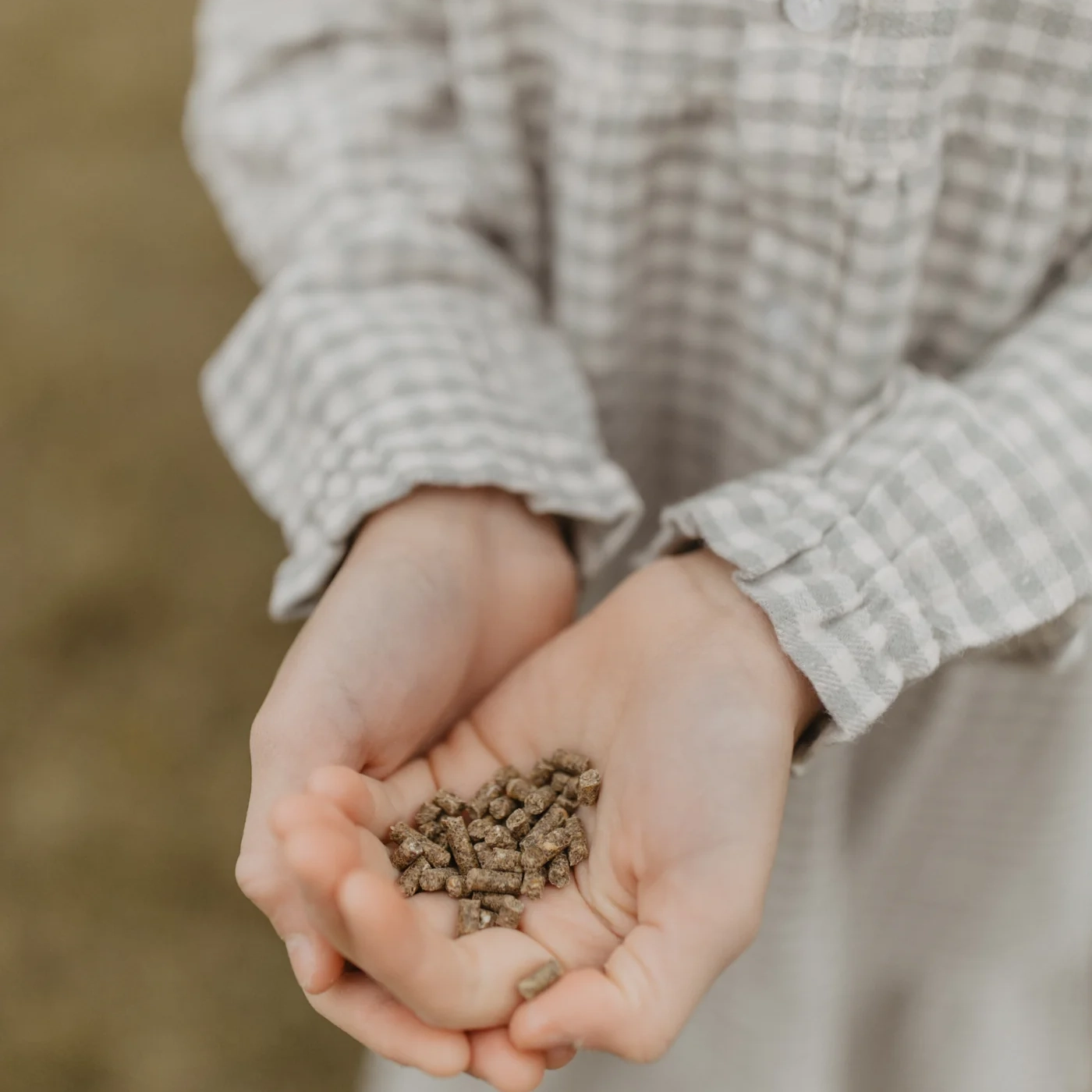 leevje_herbst_winter25-558 Kariertes Flanellkleid "Green" mit Knopfleiste – Bild 2