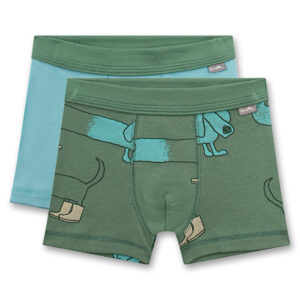 Shorts Doppelpack 337046 + 337047 (dark ivy) von Sanetta