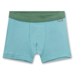 Shorts Doppelpack 337046 + 337047 (dark ivy) von Sanetta – Bild 3