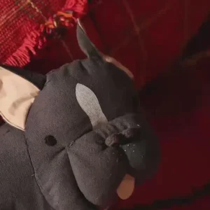 Kissen Jimmy – Bild 3