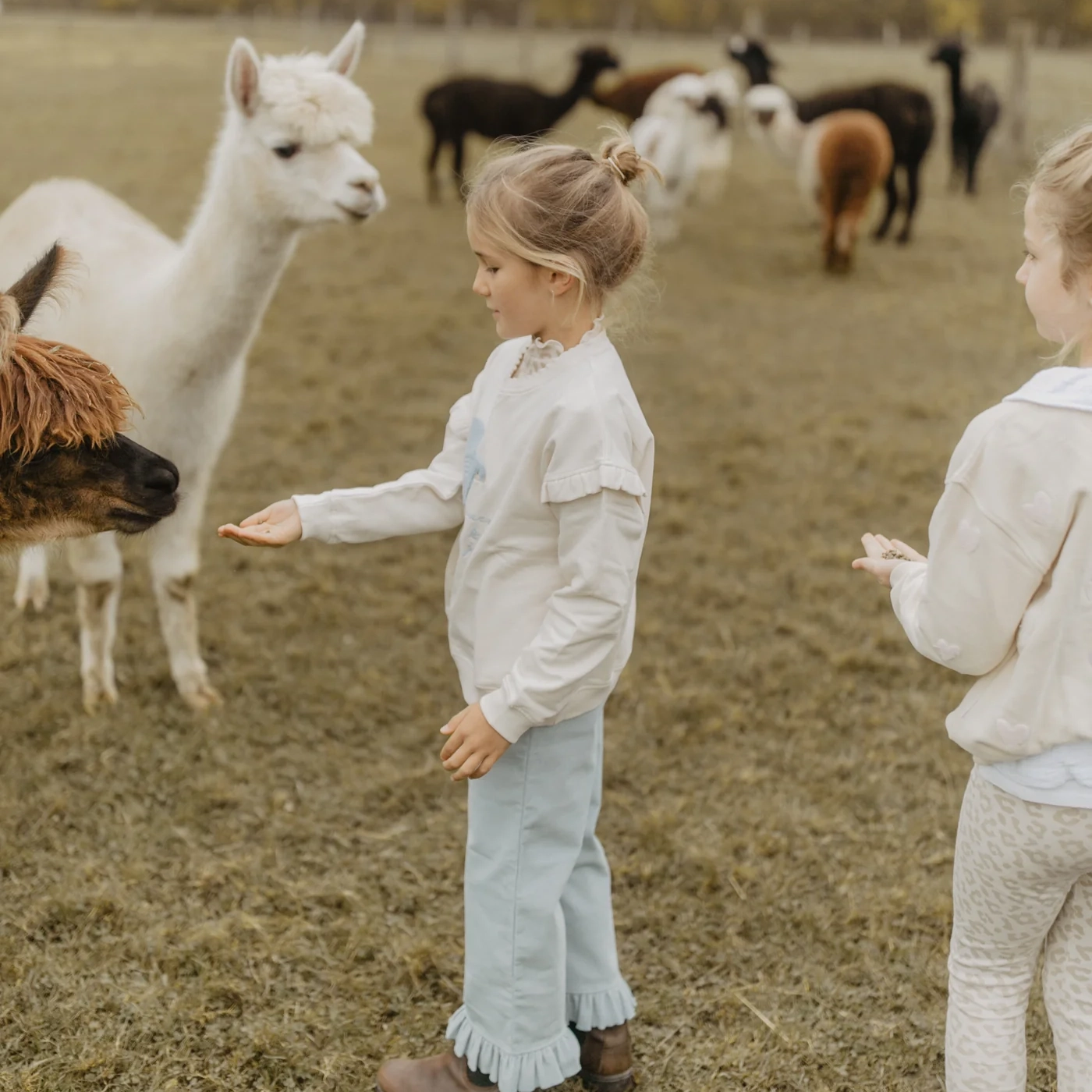 cordhose_clear_blue2 Weite Cordhose "clear blue" mit Rüschensaum – Bild 2