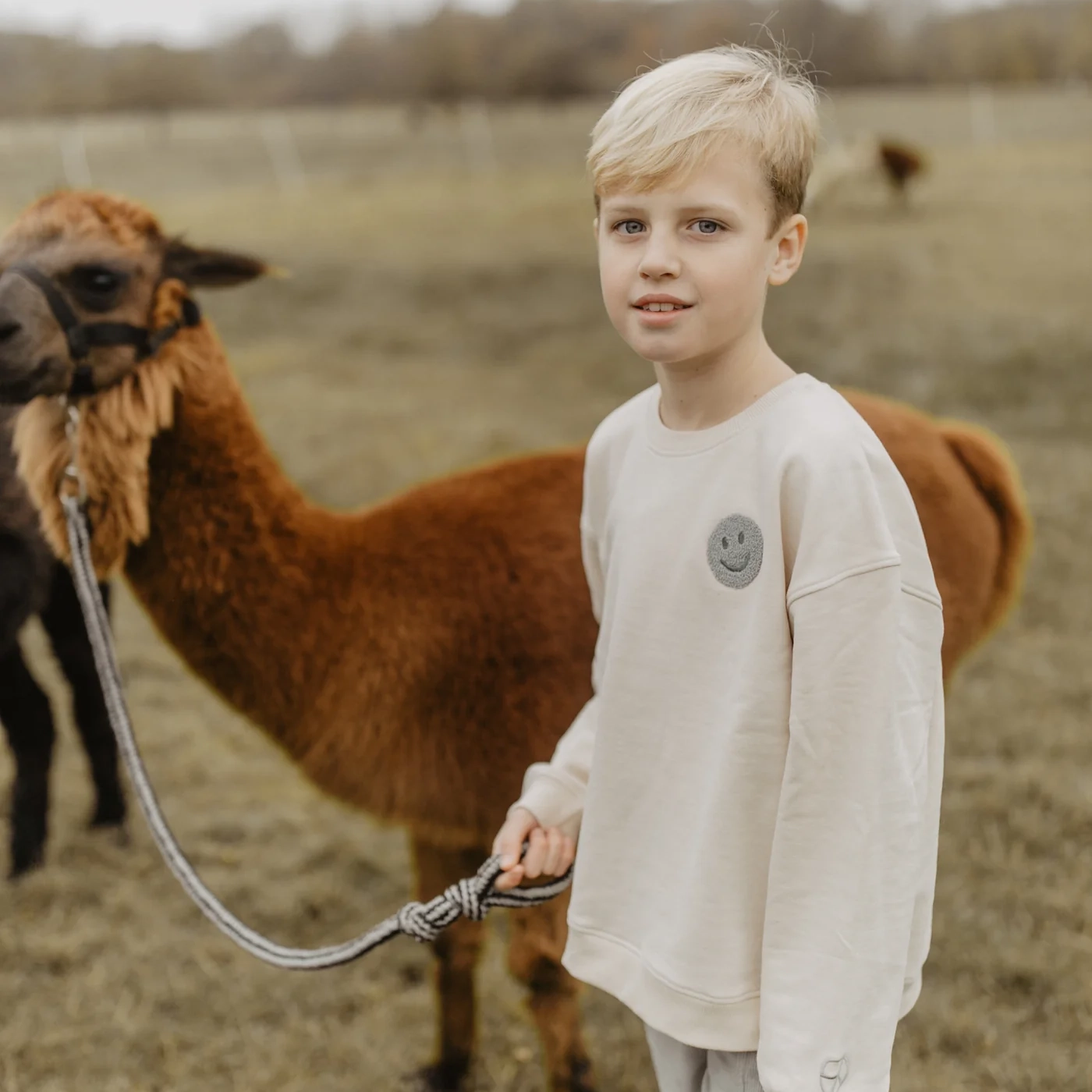 sweatshirt_peace_begins7 Unisex Oversized Sweatshirt "Peace begins with a smile" (cappuccino) – Bild 3