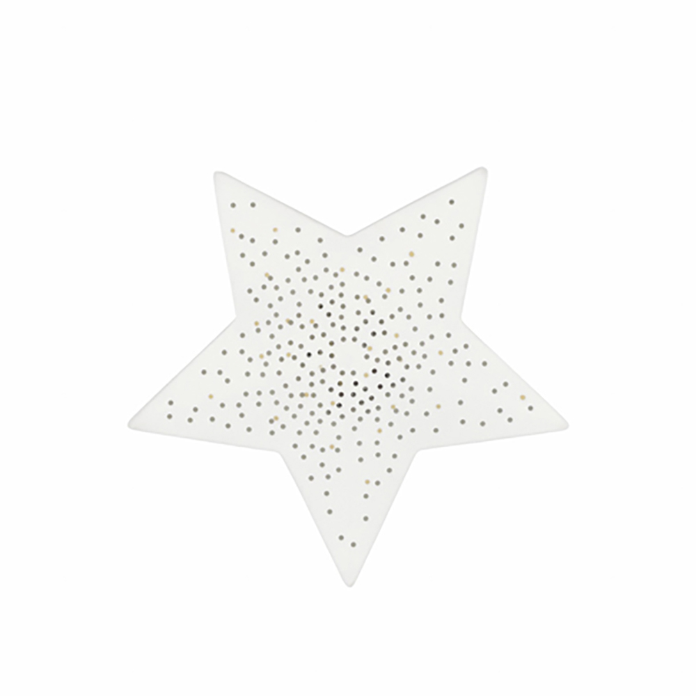 92769_art-f_g_licht-mit-led_led-weihnachtslicht-stern_y24_po_v01 LED Weihnachtslicht "Stern" – Bild 1