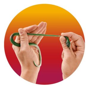 Stretchy Schlange "Zoo" (30 cm) – Bild 3