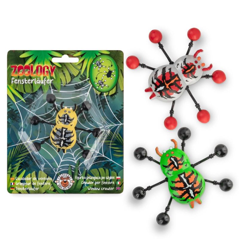 964274_b ZOO Fensterläufer Spinne Fensterläufer Spinne "Zoo" – Bild 1