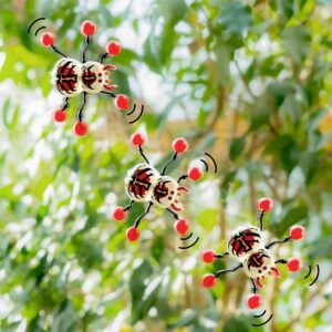 Fensterläufer Spinne "Zoo" – Bild 2