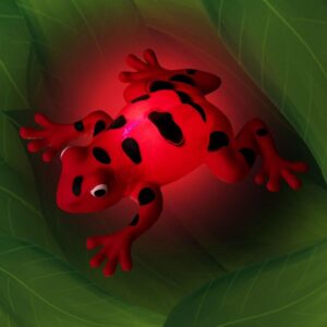 Stretchy Light-Up Kröte "Zoo" (nachtleuchtend) – Bild 4