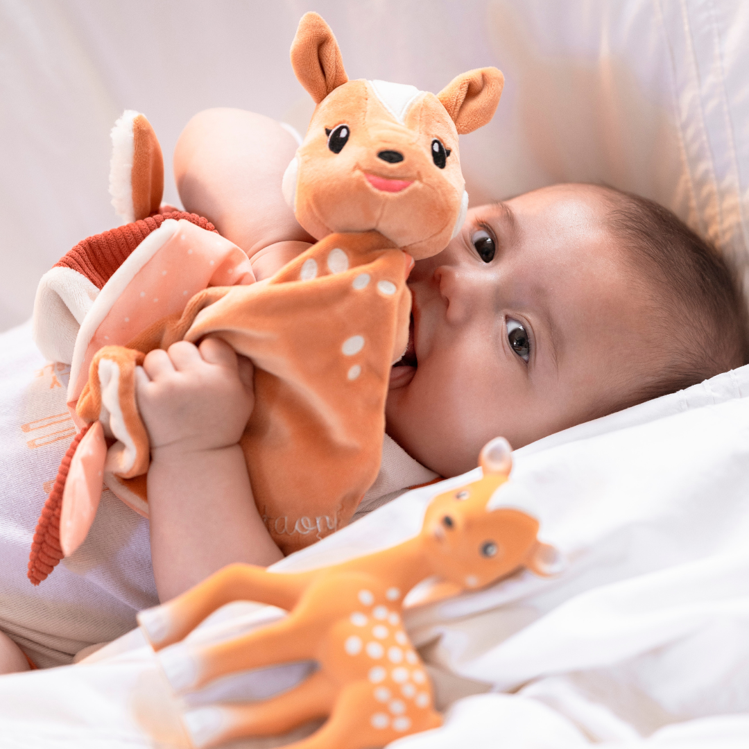 Set Fanfan + Schmusetuch 3 Set Fanfan & Schmusetuch Fanfan mit Schnullerband, Rehkitz – Bild 4