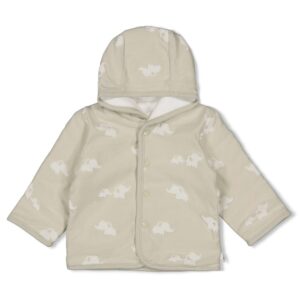 Wendejacke mit Kapuze AO - Elephant (Minze)