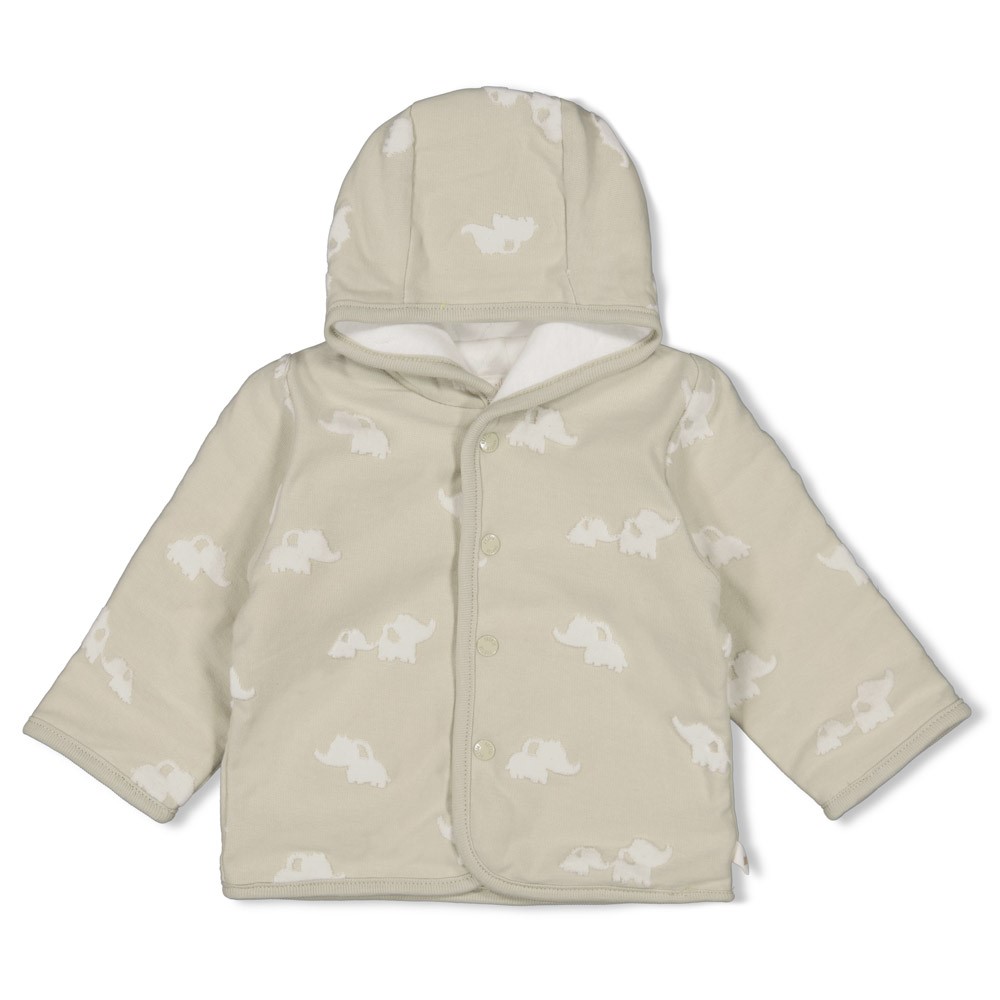 S2611_51800361_320_1 Wendejacke mit Kapuze AO - Elephant (Minze) – Bild 1