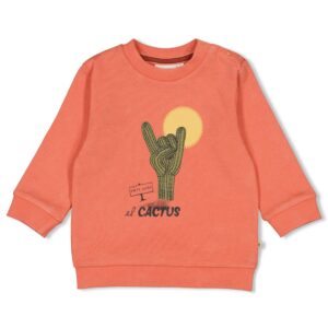 Sweater Desert Fiesta (Koralle)