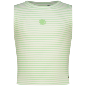 Icon-Crop stripe rib Top, Patina green von Vingino