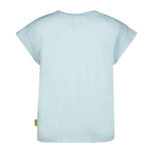 Back view of a light blue short-sleeve T-shirt with a straight hem against a transparent background.