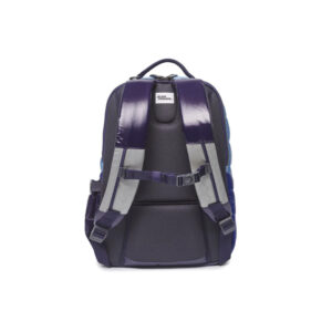 Back view of a purple and gray backpack with padded shoulder straps and chest buckle.