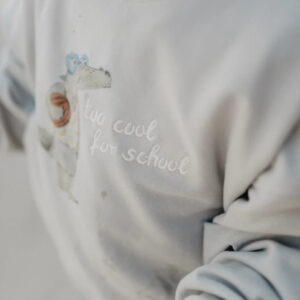 Close-up of a light-gray hoodie with the embroidered phrase 'too cool for school' on the chest area, and a small graphic nearby.