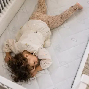 sebra X Träumeland Matratze "Signature" für Baby & Jr. – Ansicht 4