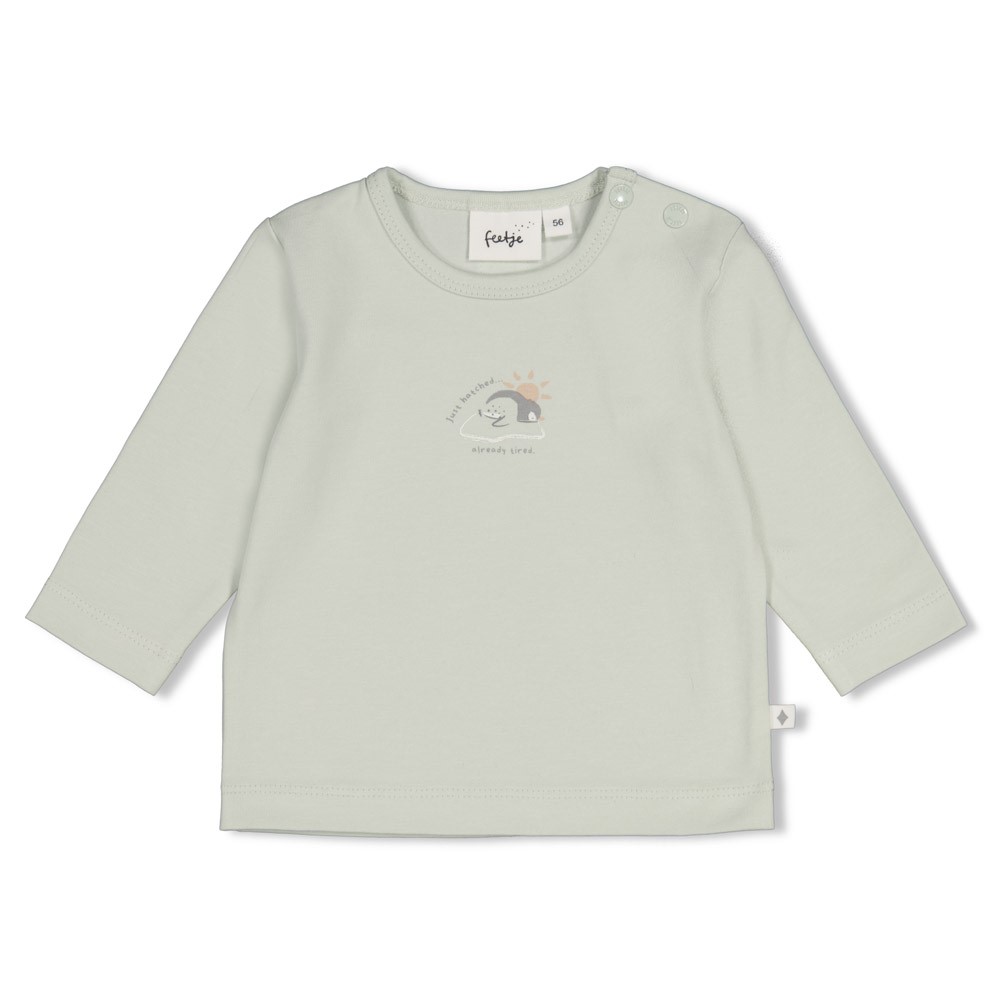 W2611_51602788_320_1 Longsleeve Penguin Cuddles (Minze)