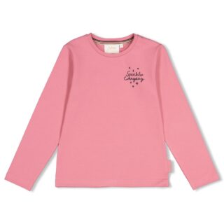 Longsleeve mit Rückendruck City Chic (Rosa)