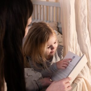 sebra Bett "Baby & Jr." (Stone grey)
